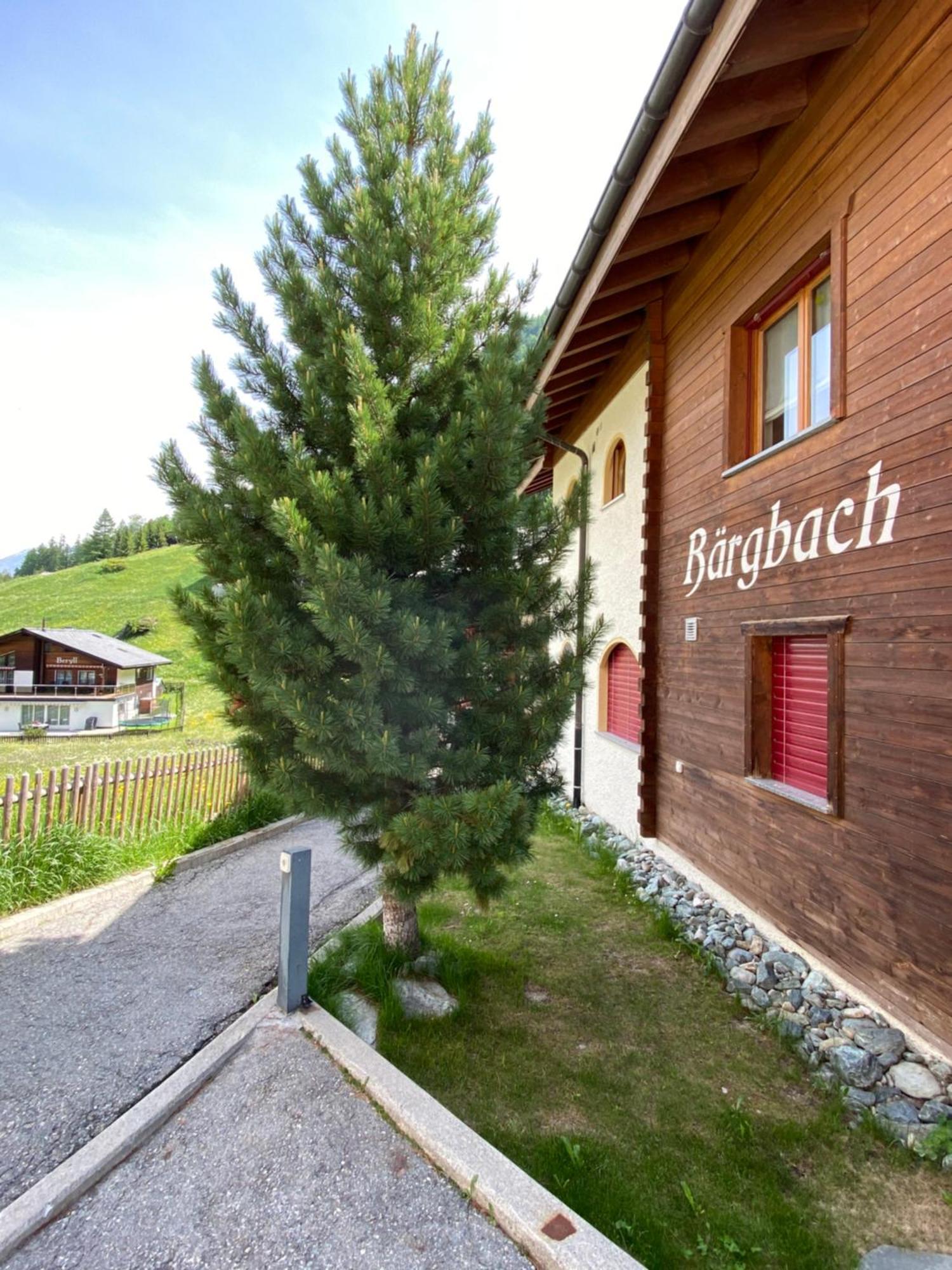 Sonnmatten Boutique Hotel & Apartments Церматт Экстерьер фото
